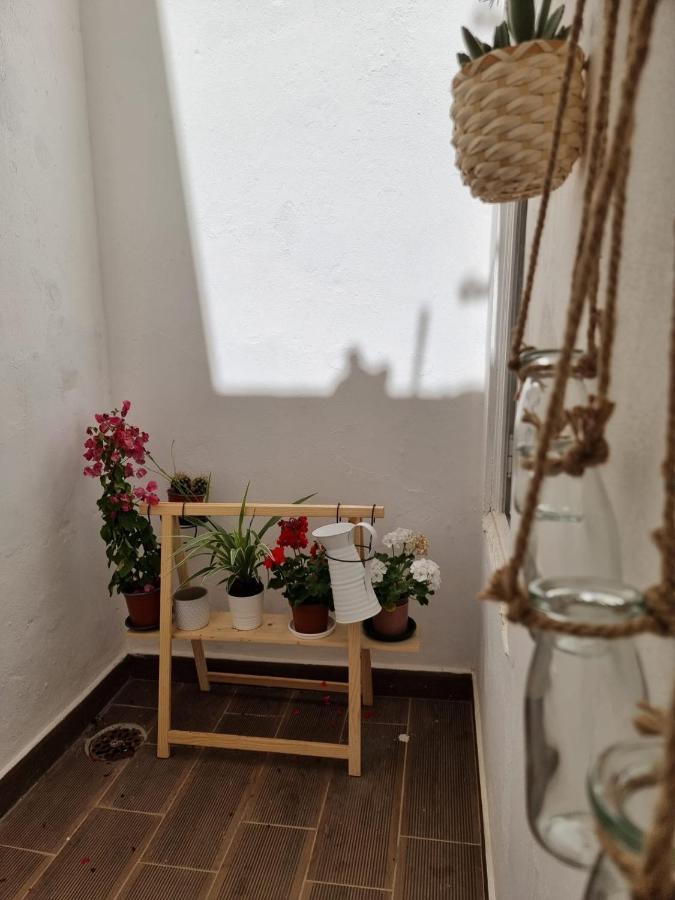 Dream Days Guesthouse Dystrykt Dystrykt Faro Zewnętrze zdjęcie